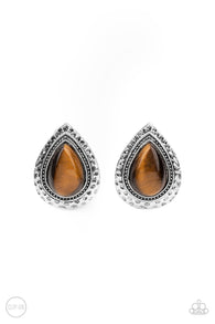 Desert Glow - Brown Earrings
